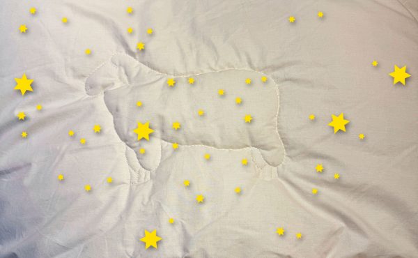 Tipp für´s Christkind: unsere reduzierten Winterdecken