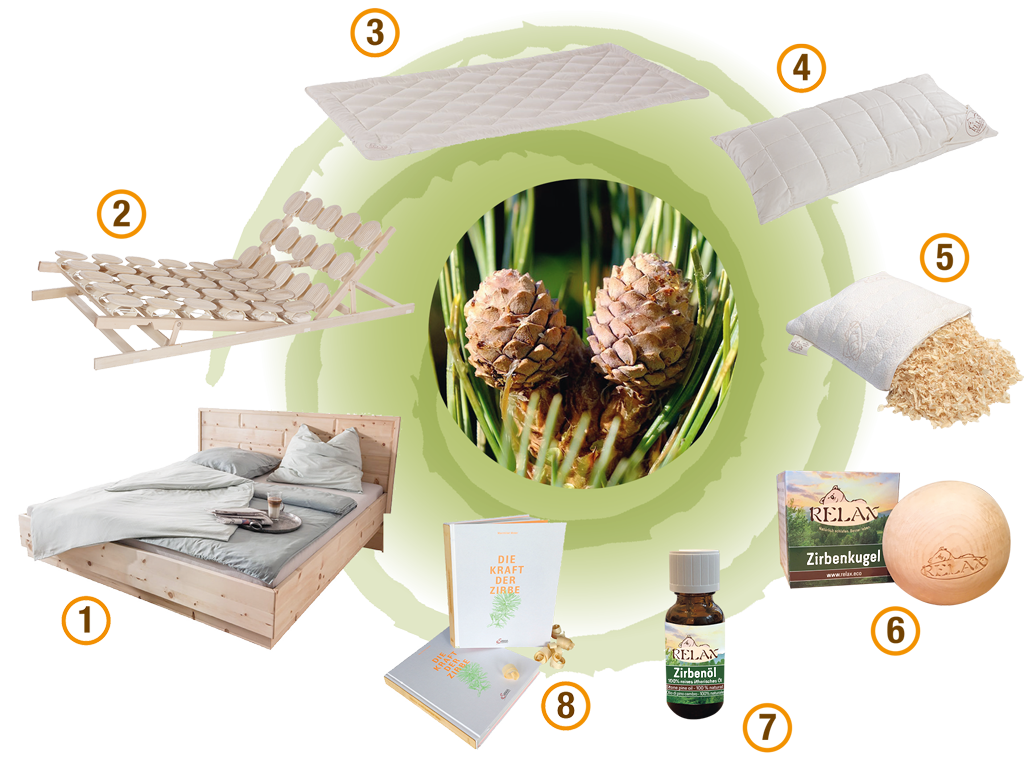 Alles dreht sich um die Zirbe